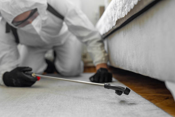 Professional Pest Control technician working in Eagle Lake, TX