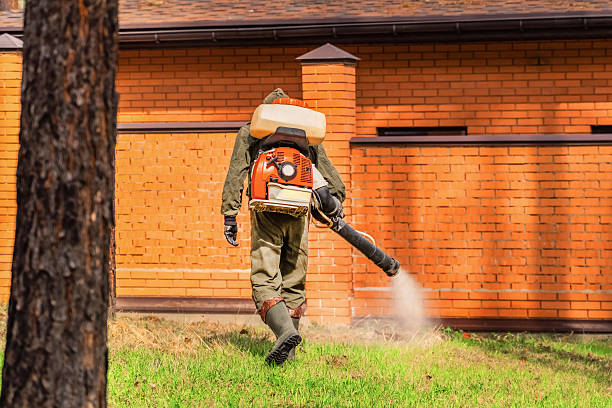 Trusted Rodent Control service in Eagle Lake, TX - Nex Pest Control